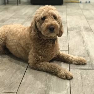 Meet your Posher, Francine